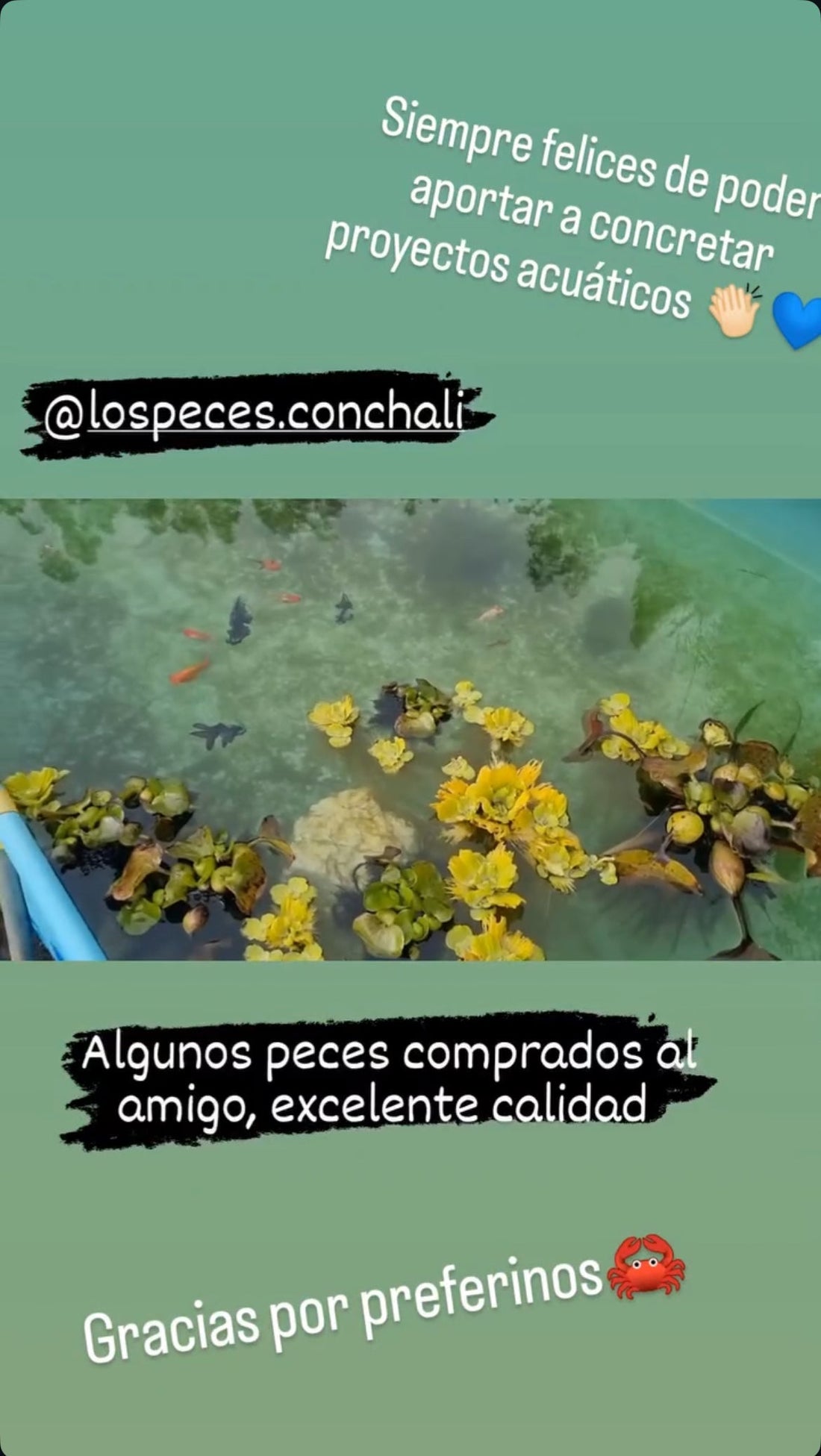 20/05/24
