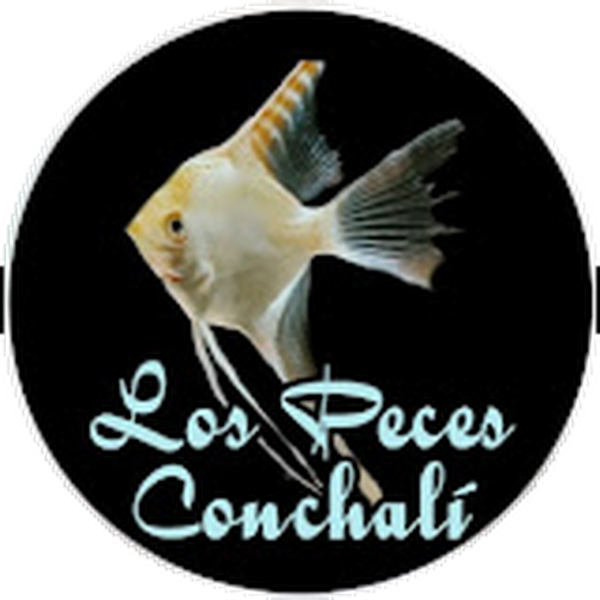 Los Peces Conchali