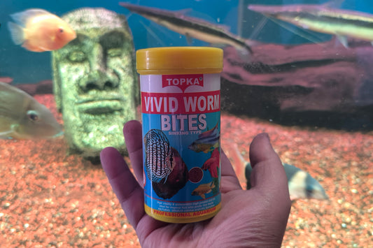 Vivid Worms (gusanos secos)