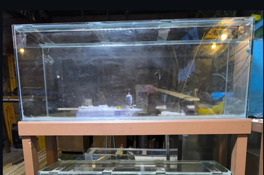Acuario 100x30x40