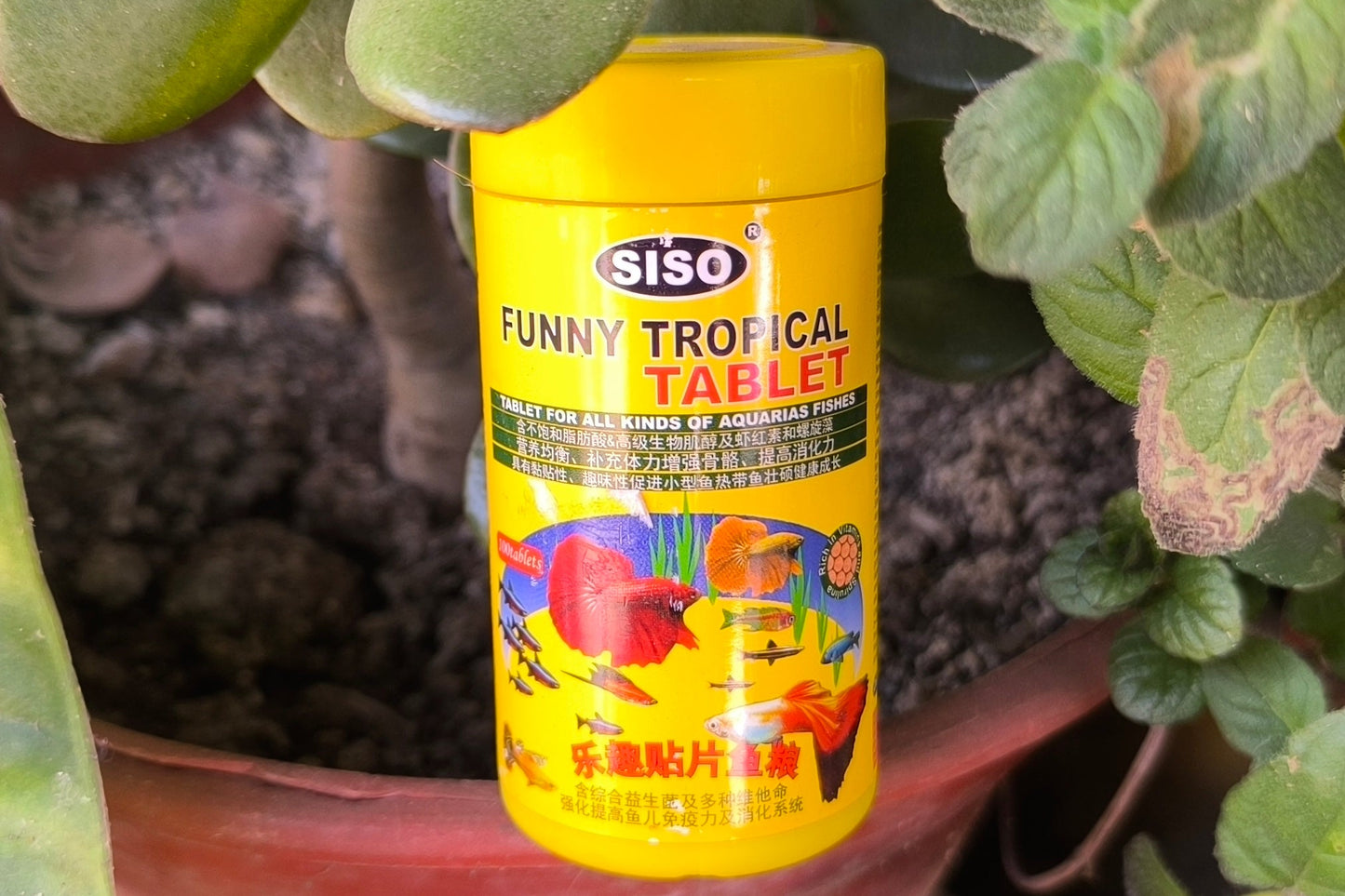 Pastillas de fondo Siso