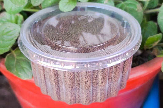 Alimento para ciclidos a granel
