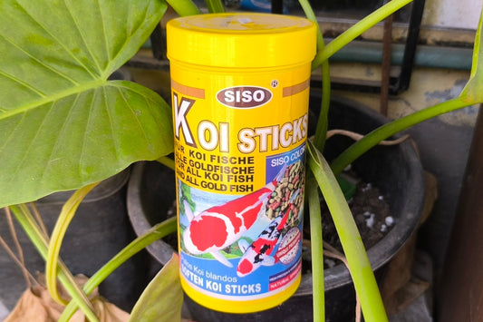 Alimento de Koi Siso