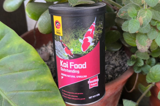 Alimento Koi porpoise